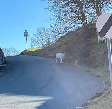 Мини-отель The Bridge