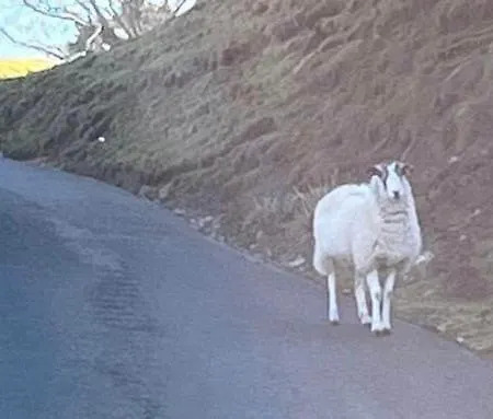 The Bridge 3* Рит