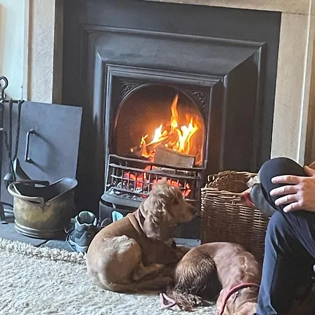 The Bridge Мини-отель