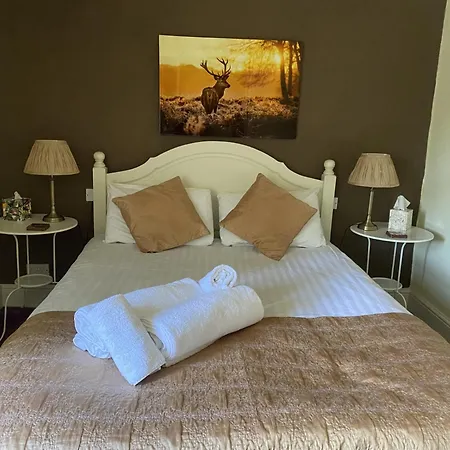 Мини-отель The Bridge Рит