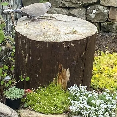 The Bridge Мини-отель 3*