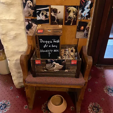 The Bridge Мини-отель 3*