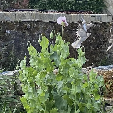 The Bridge 3* Рит