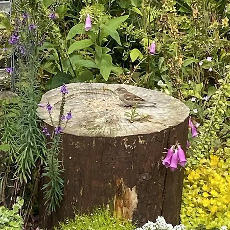 Мини-отель The Bridge