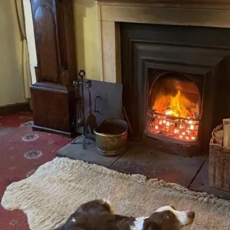 Herberg The Bridge 3*