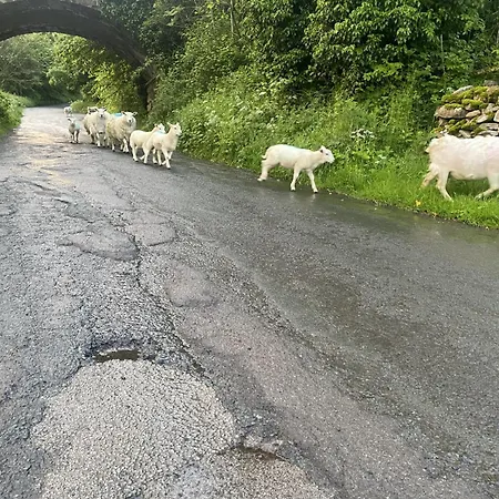 The Bridge Reeth