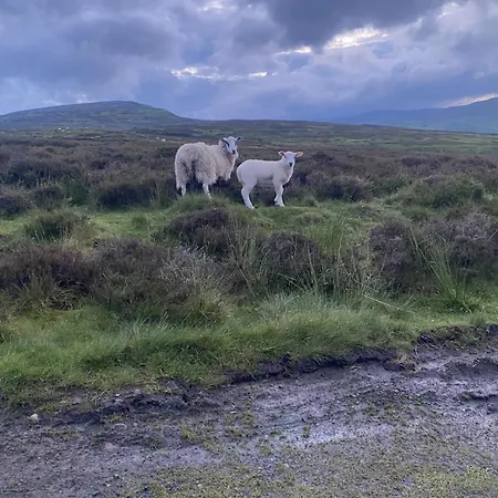 Herberg The Bridge 3*